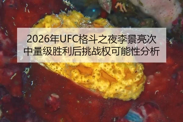 nian-ge-dou-zhi-ye-li-jing-liang-ci-zhong-liang-ji-sheng-li-hou-tiao-zhan-quan-ke-neng-xing-fen-xi-2-520.jpg