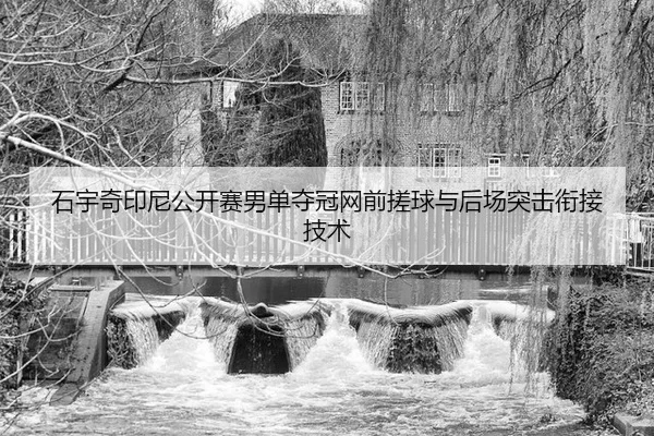 石宇奇印尼公开赛男单夺冠网前搓球与后场突击衔接技术